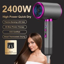 Professional 2400W Anion Hair
