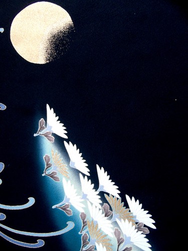 Ayane moon chrysanthemums - [ayane],