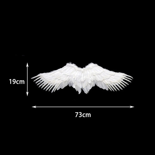 Feather angel wings halloween - feather,