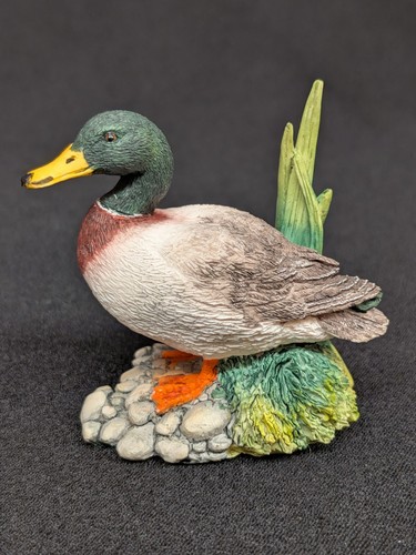 Border fine arts duck - fine,