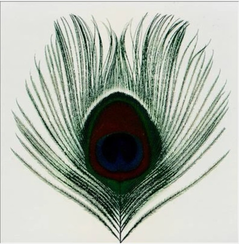 Xtc apple venus - xtc,