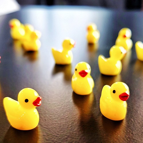 10x cute magnetic ducks - cute,