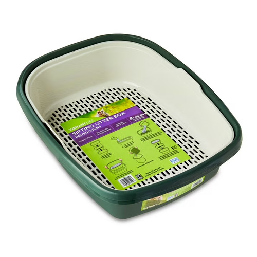 Vibrant life sifting cat - vibrant,