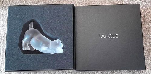 Lalique stunning puppy - stunning,