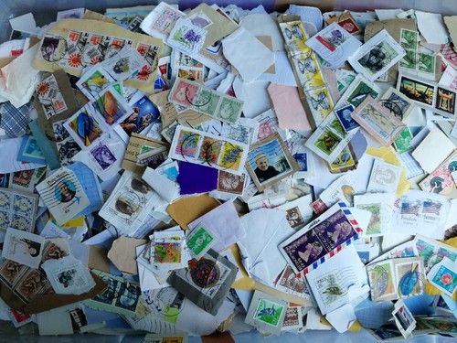 World unsorted charity - unsorted,