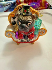 Adorable Pug Dog Puppy Sitting