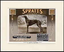 DEERHOUND NAMED DOG ON ADVERT