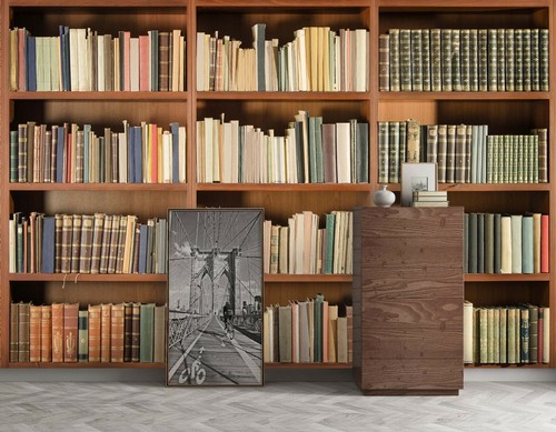 Bookshelf study zhub2096 - study,