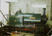 Peter Narrow Gauge Steam