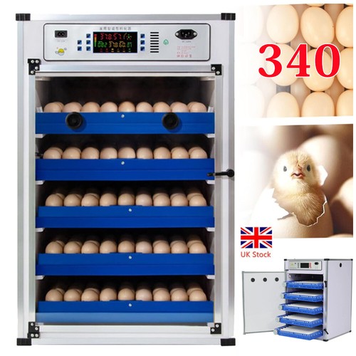 Automatic digital 340 eggs - automatic,
