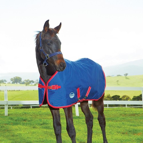 Weatherbeeta 1200d foal rug - weatherbeeta,