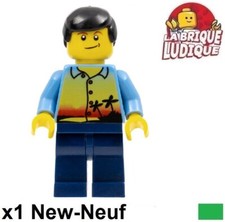 Lego minifigure city sunset - city,