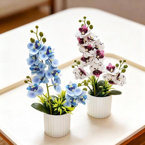 Faux phalaenopsis orchid - faux, in