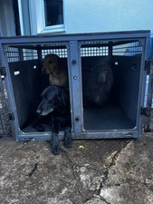 Trans K9 C4 Double Dog Cage