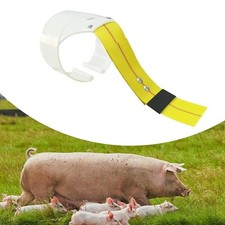 Pig Insemination Back Clamp
