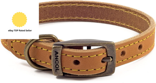 Timberwolf leather dog collar - dog,