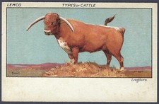 Lemco types of cattle