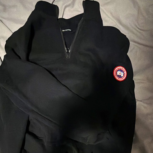 Canada goose chilliwack - canada,