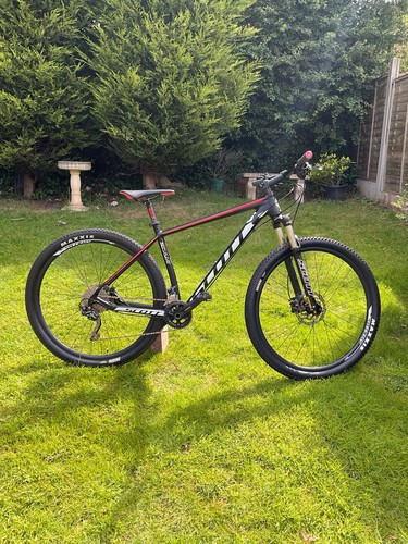 Scott scale 990 29er - 29er, hardtail