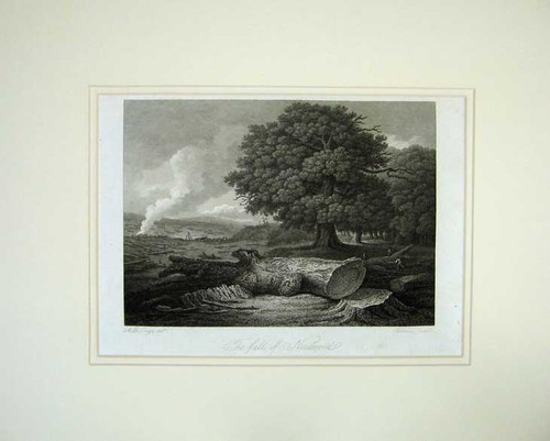 Original old antique print - antique,