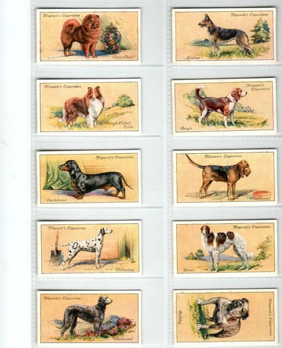 Hignett dogs 1936 - 1936, set