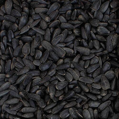 Black sunflower oil rich - oil,