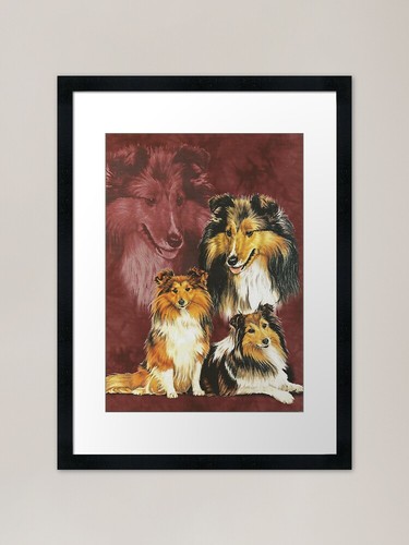 Shetland sheepdog alteration - sheepdog,