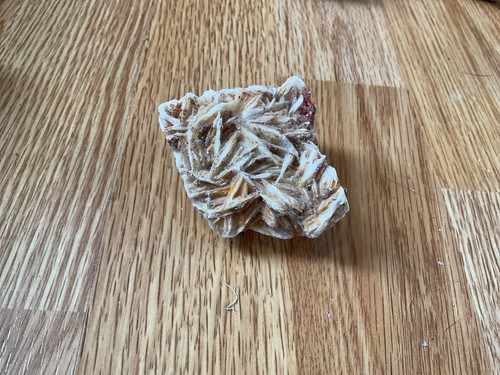 Desert rose