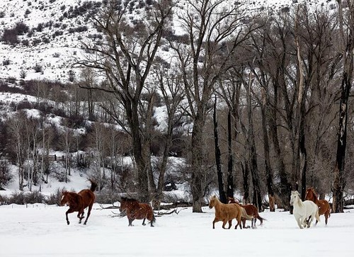 Routt county colorado - county, 2016