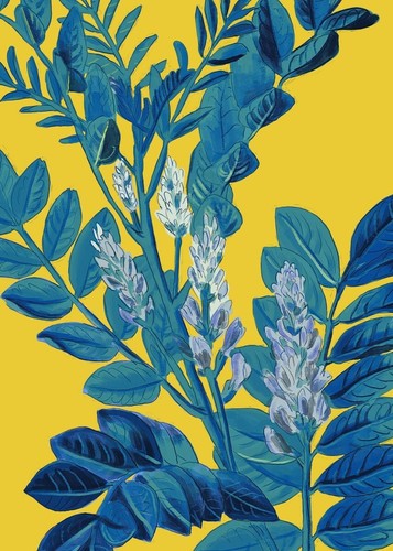 Lemon tree branch premium - tree,