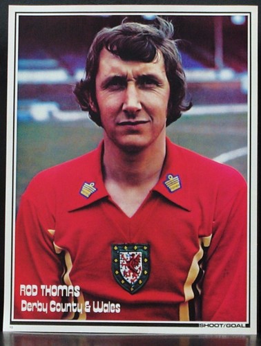 Football player picture rod - picture,