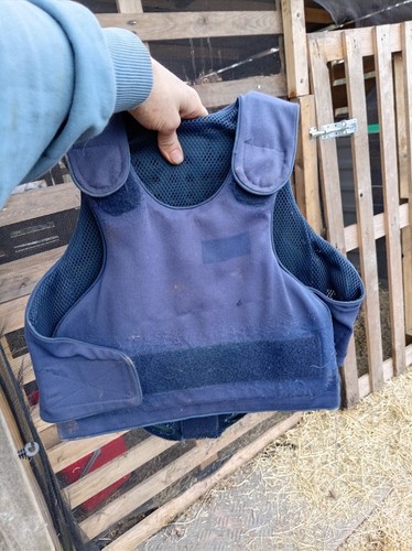 Children horse riding body - horse,