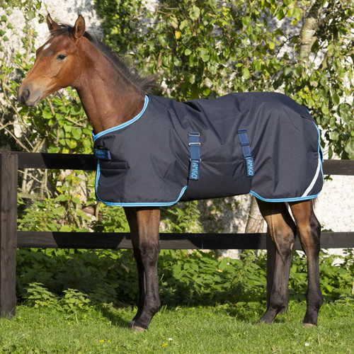 Horseware ireland amigo foal - ireland,