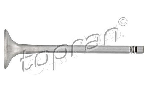 Engine exhaust valve fits - valve, audi