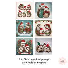 6 Hedgehogs at Christmas Card