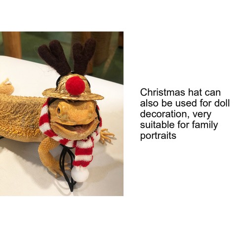 Lizard christmas costume - lizard,