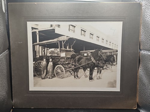 American express horse - b&w,