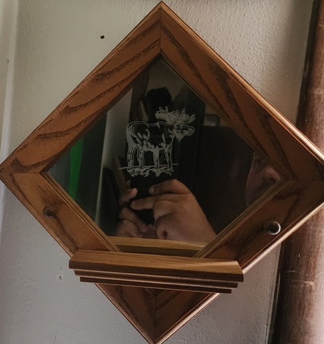 Moose mirror shelf - moose, wall