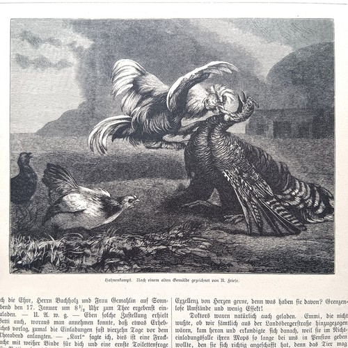 1885 wood engraving wood