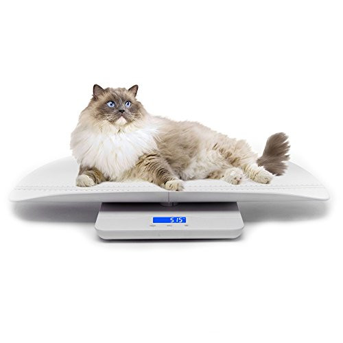 Digital pet scale with - digital, 3