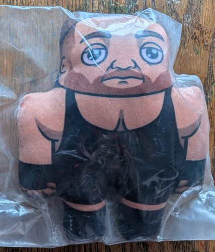 Wrestling buddy rob van dam - wrestling,