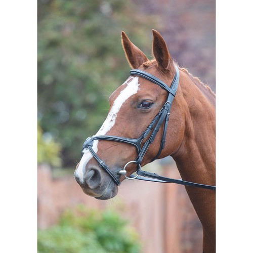 Shires avignon grackle bridle - avignon,