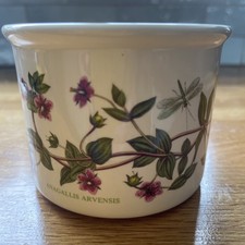 Portmeirion Botanic Garden Anagallis Arvensis  Plant Pot Pimpernel 1972