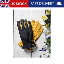 Gold Leaf DRY TOUCH Deluxe