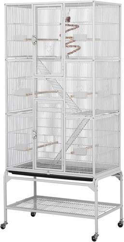 Large african grey parrot bird - grey,