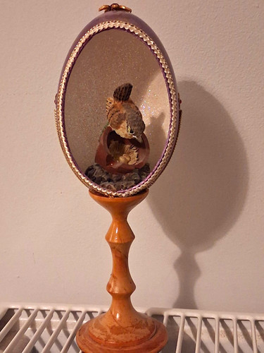 Vintage wren bird nest eggs - wren,