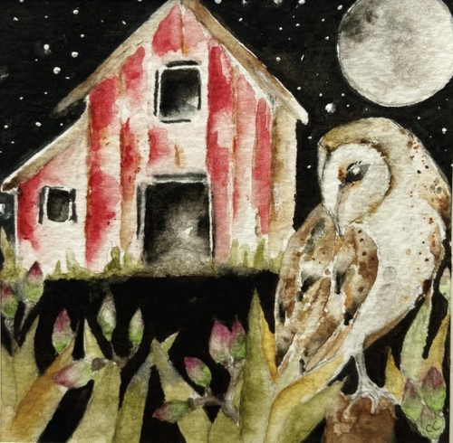 Mounted original nocturnal - mounted,