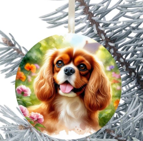 King charles cavalier - king, spaniel