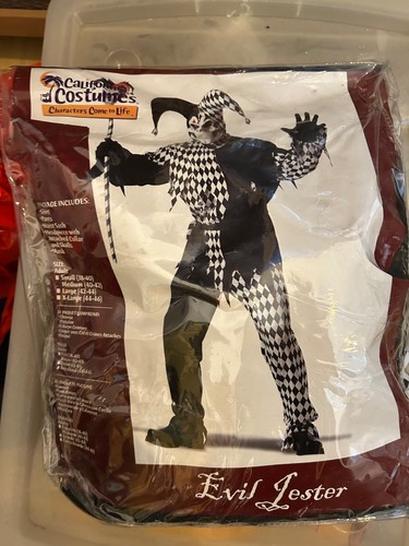 Jester costume adult size - jester,