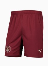 Manchester city puma third - city,